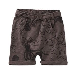 NEW Tea Collection Casual Cotton Shorts with Elastic Waistband